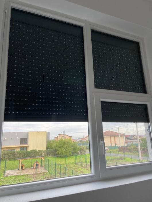 Rulouri Timisoara exterioare