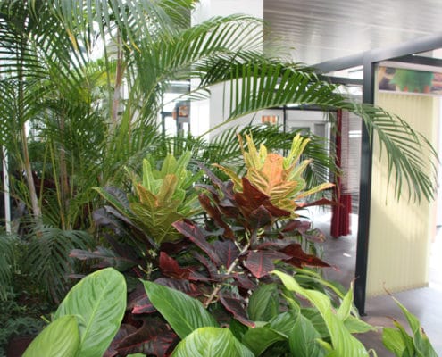 Showroom126 Despre Compania Trident Timisoara