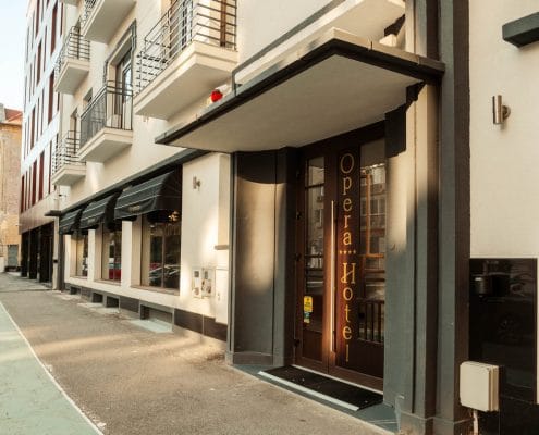 res_P1811946 Despre Compania Trident Timisoara