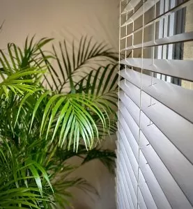 Jaluzelele din lemn cu lamele late de 50 la Timisoara